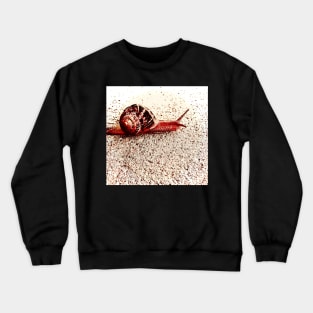 It’s a Shell of a Day for a Drag Crewneck Sweatshirt